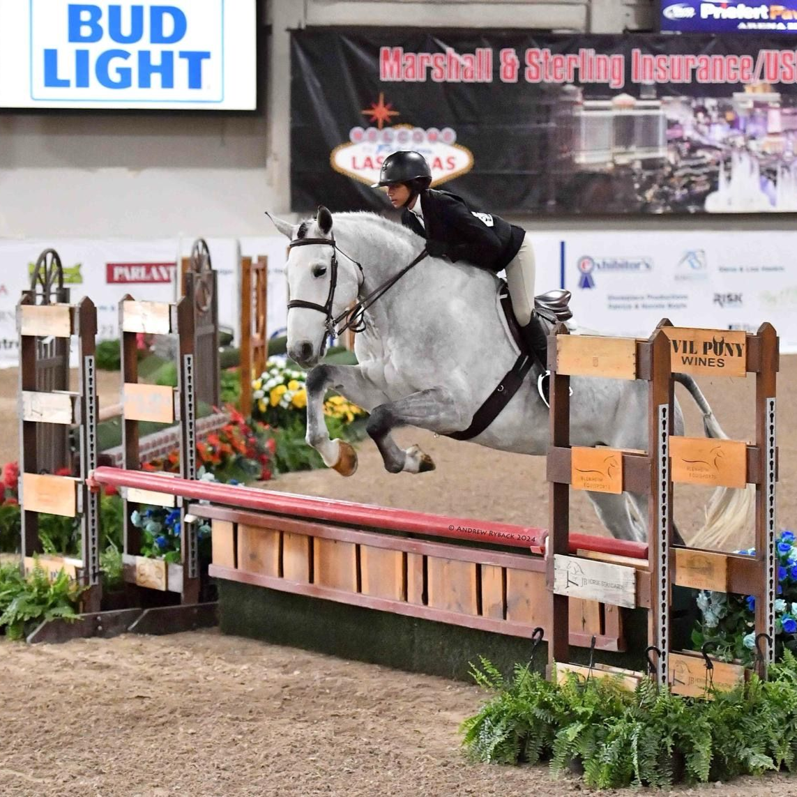 montessori alumni rey equestrian show jumping competition