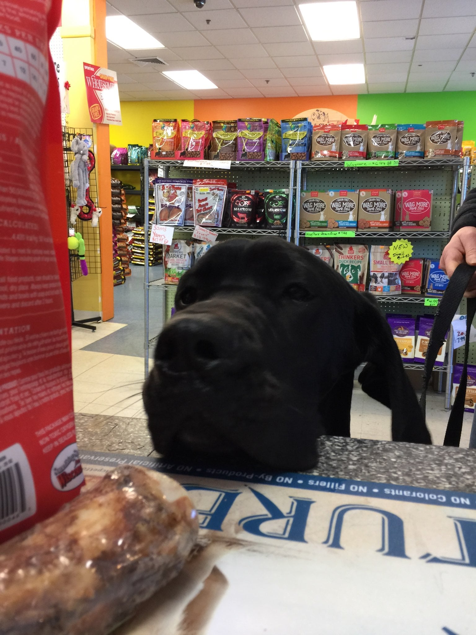 Pet Supplies New Windsor, NY Positively Pets