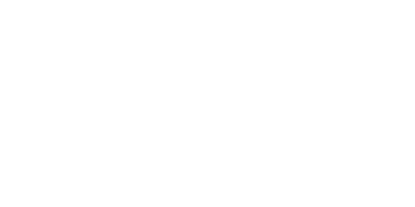 AIG logo