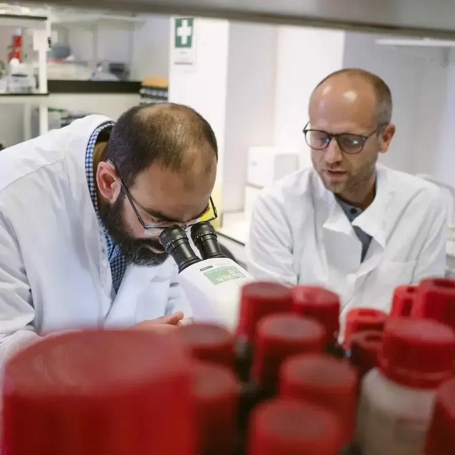 Two men are looking through a microscope in a lab