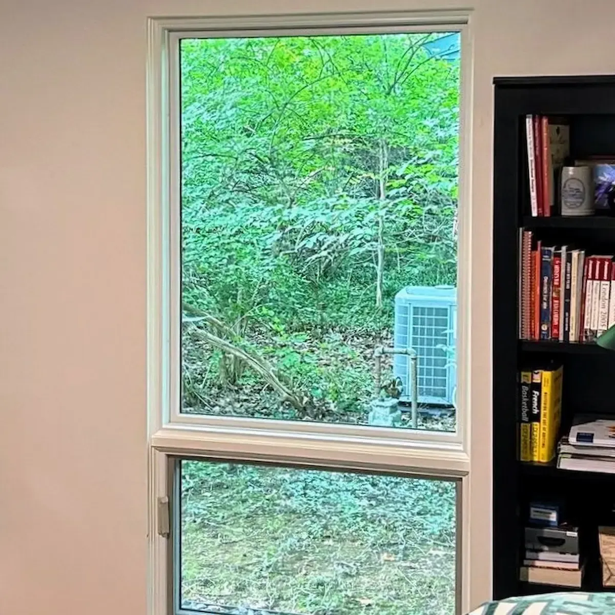 Before window treatment