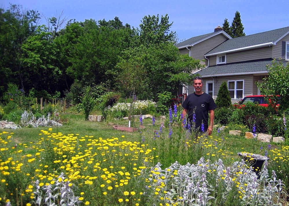 Landbank Property Listing and Map