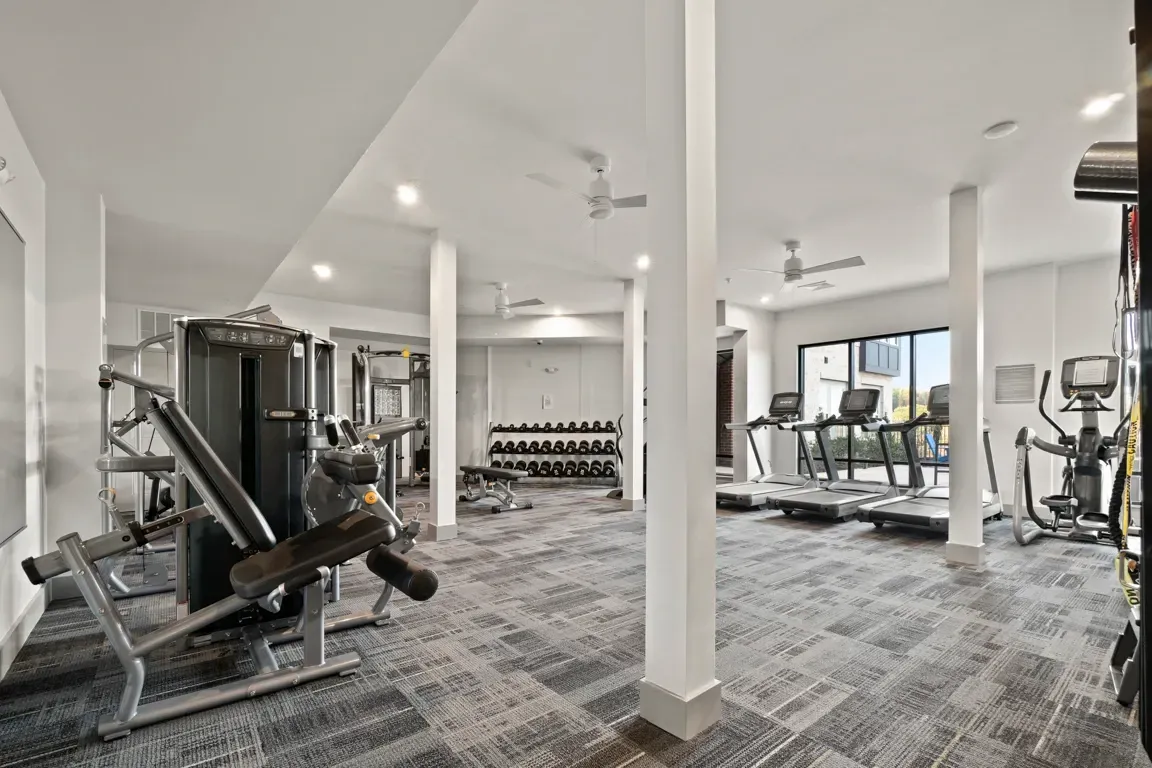 Modern apartment gym with treadmills, weight machines, and free weights.