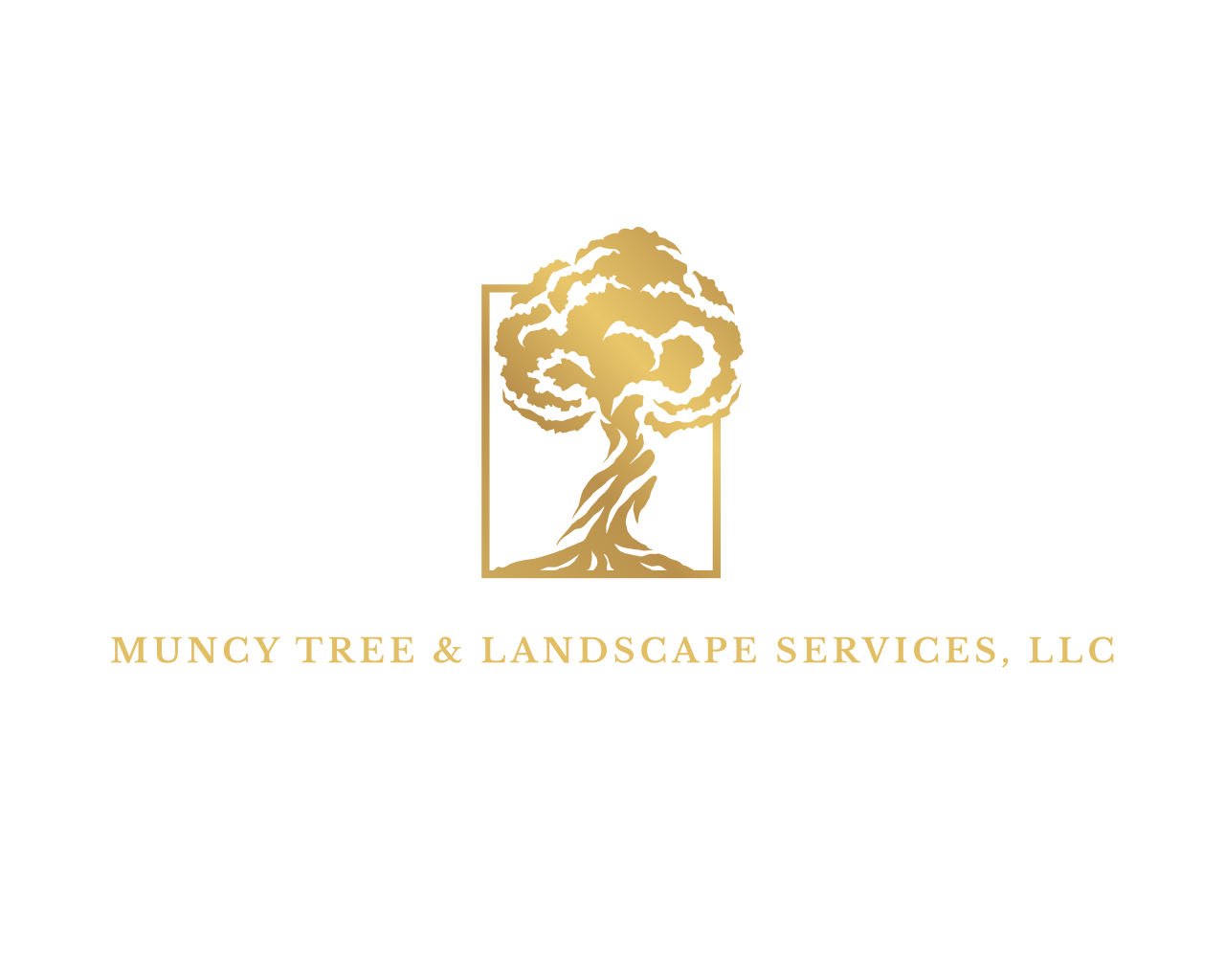 Gold tree inside a gold rectangle; "Muncy Tree & Landscape Services, LLC" below.