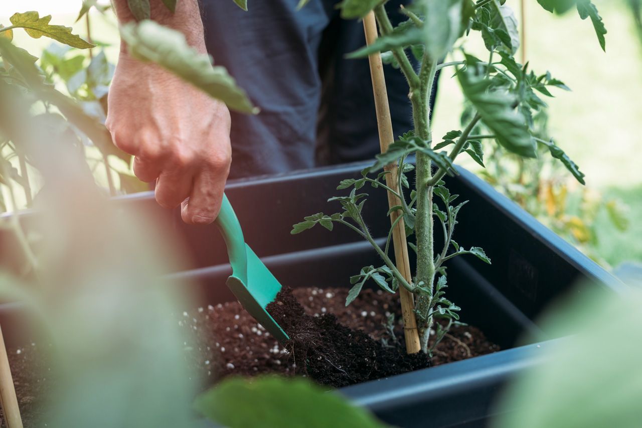 Organic Fertilizer — Hilo, HI — Garden Exchange Ltd