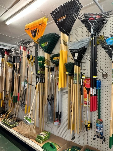 Hand Prune — Hilo, HI — Garden Exchange Ltd