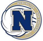 A blue and white logo for the newington noreasters