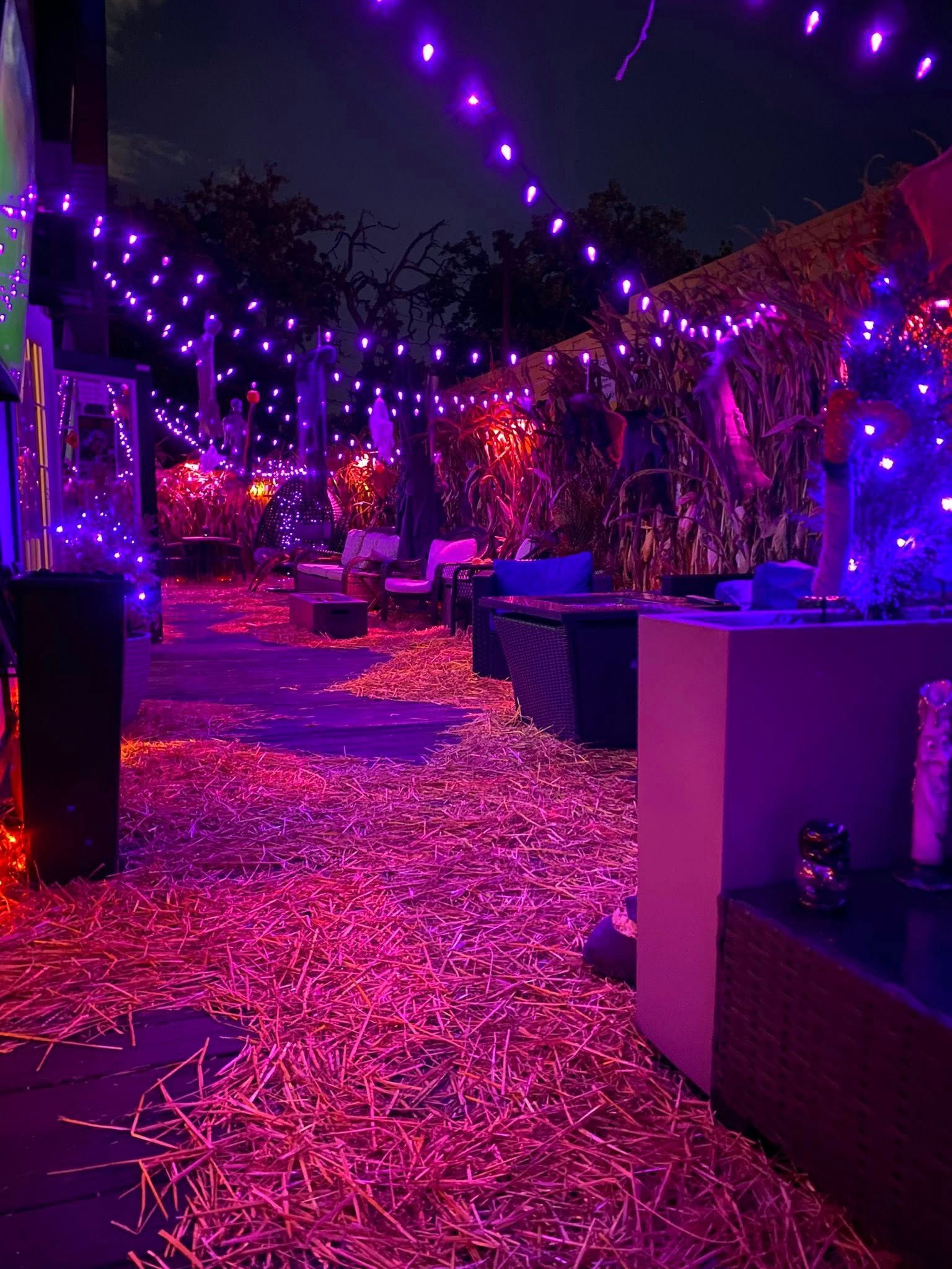 Purple string lights illuminate a patio with straw, tables, and seating at night.