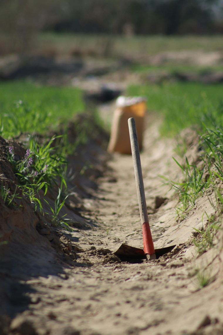 gama tecnológica de fertilización agrícola
