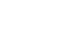 Logo - Saverio Veronico