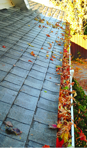 Before Gutter Cleaning — Cottonwood Heights, UT — A. B. Richards Professionals