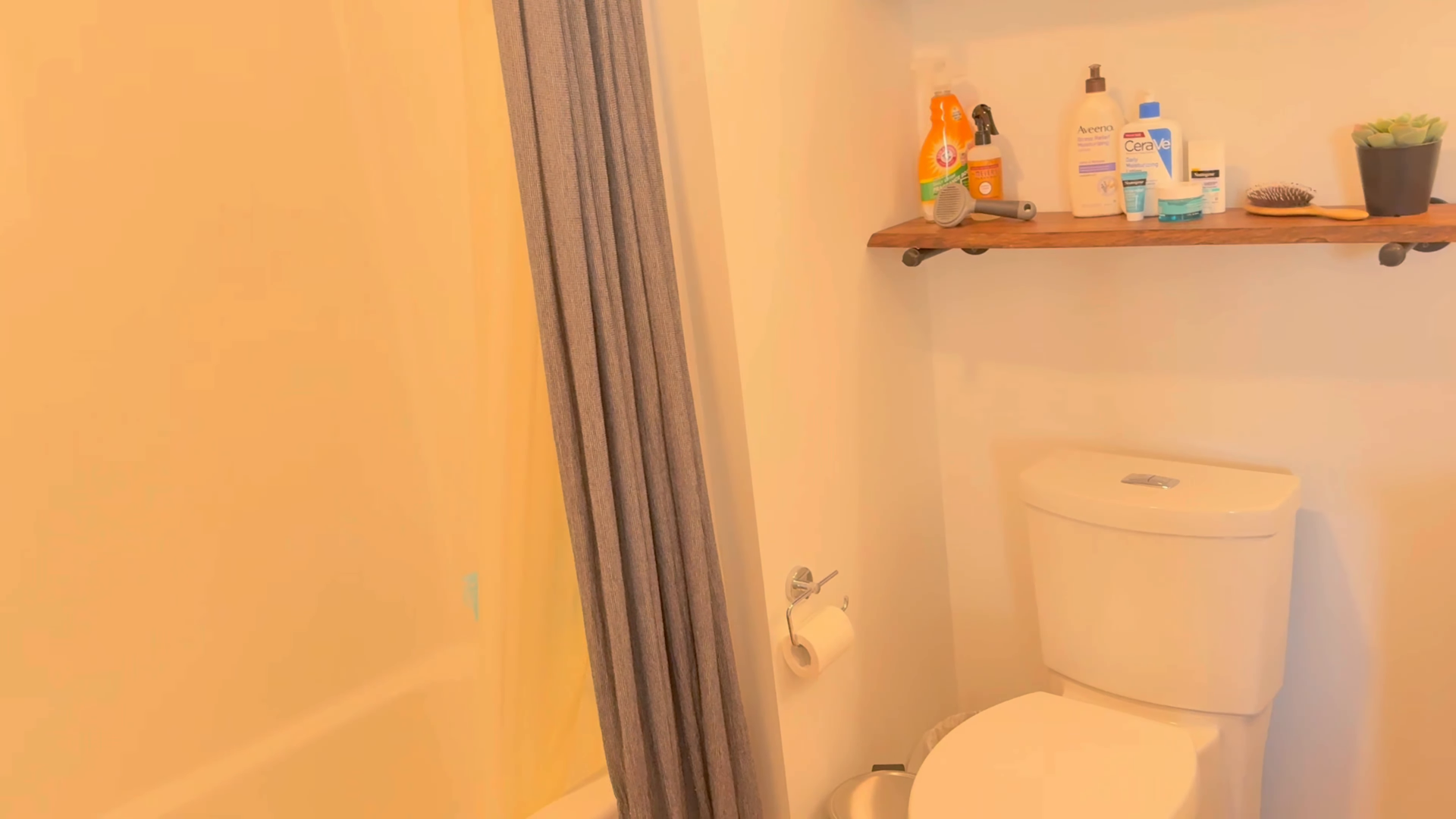 carroll gardens brooklyn custom cleaning plans green hands cleaning services