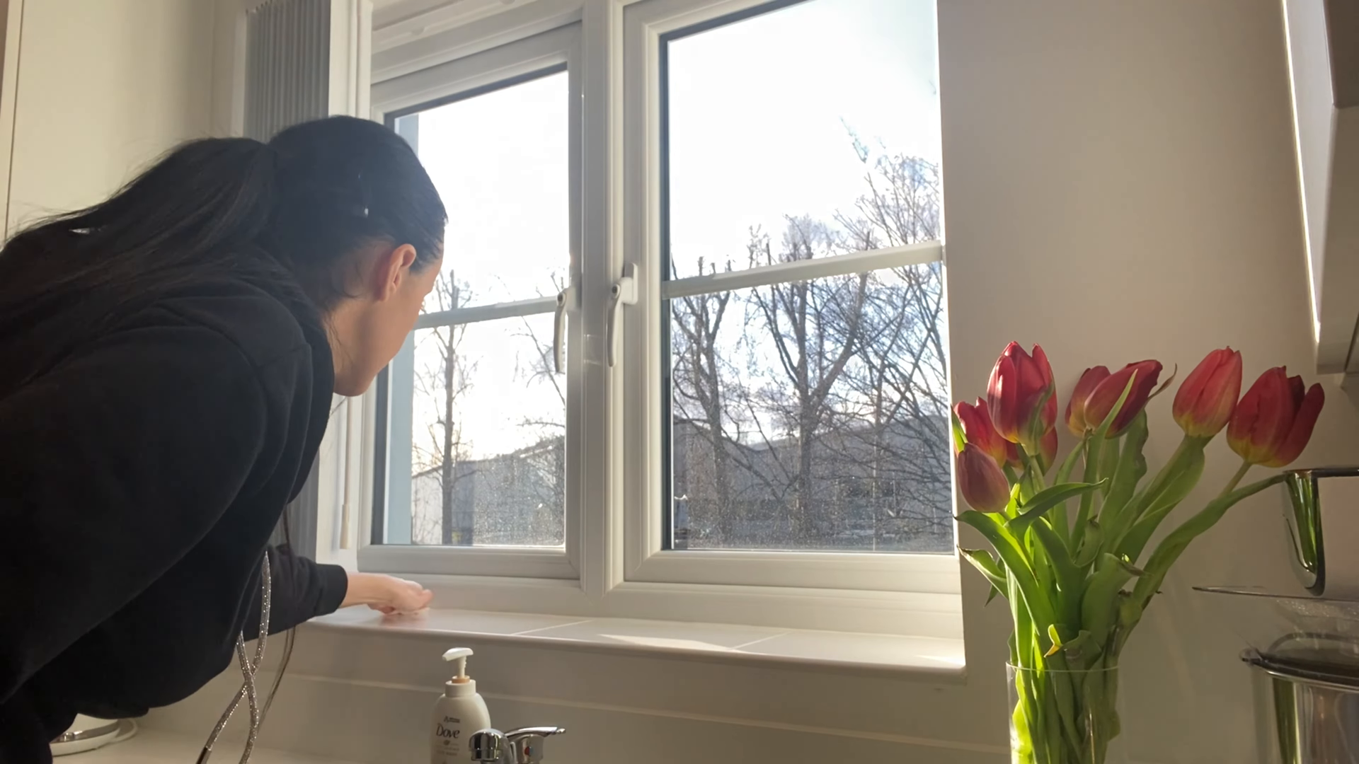 corona queens window cleaning green hands cleaning services