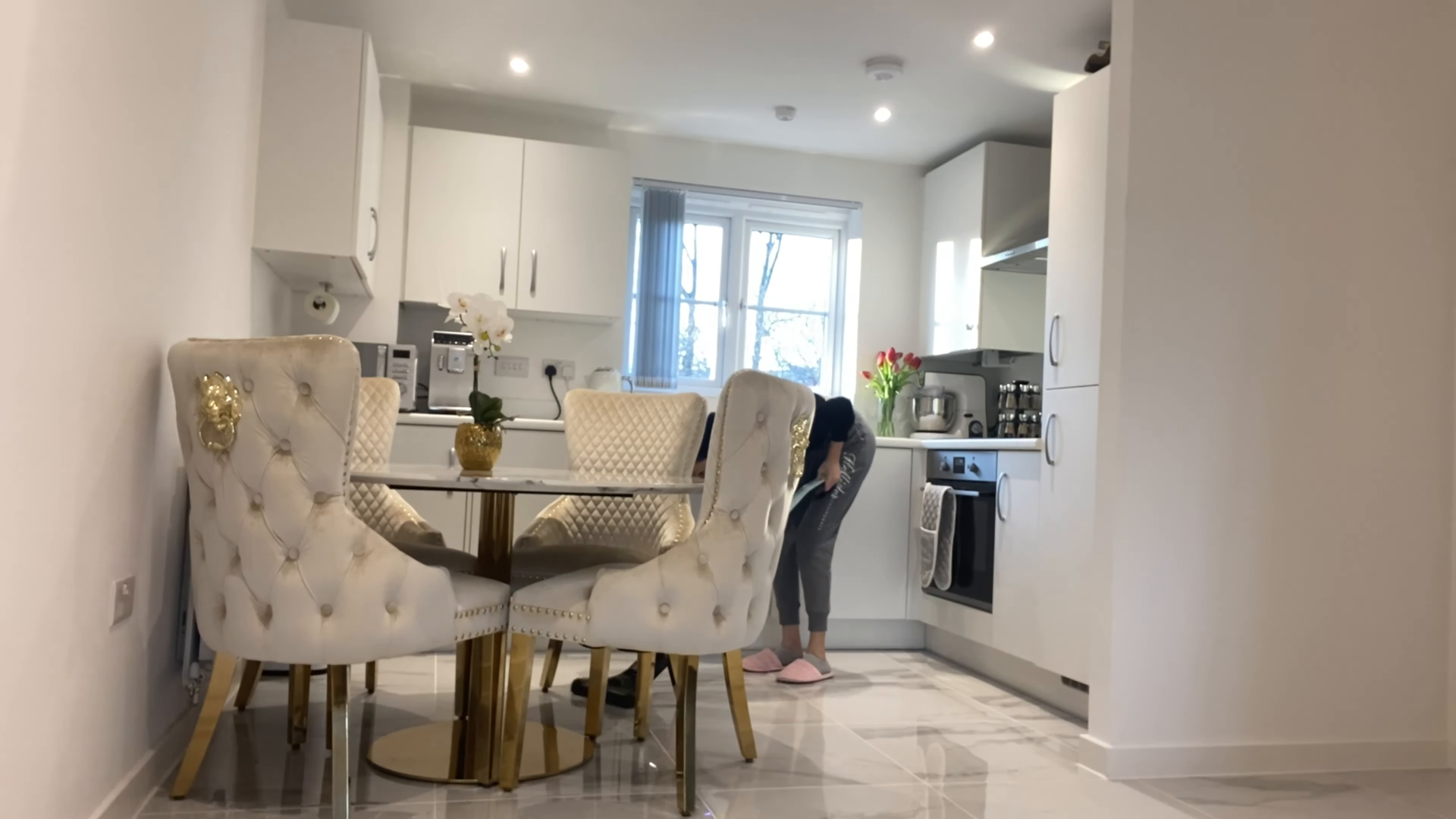 harlem manhattan pet friendly cleaning green hands cleaning services
