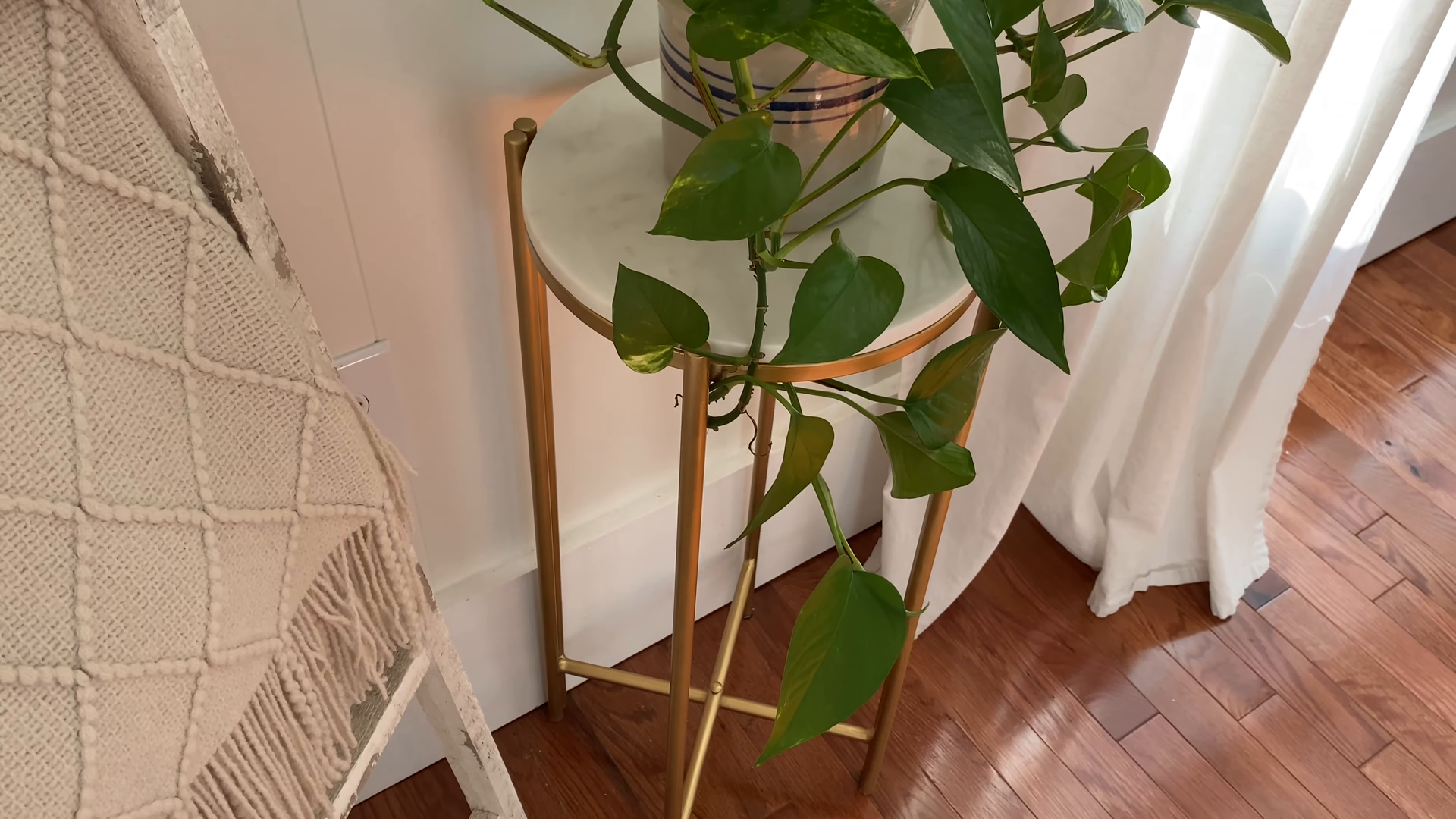 kew gardens queens affordable cleaning service green hands cleaning services