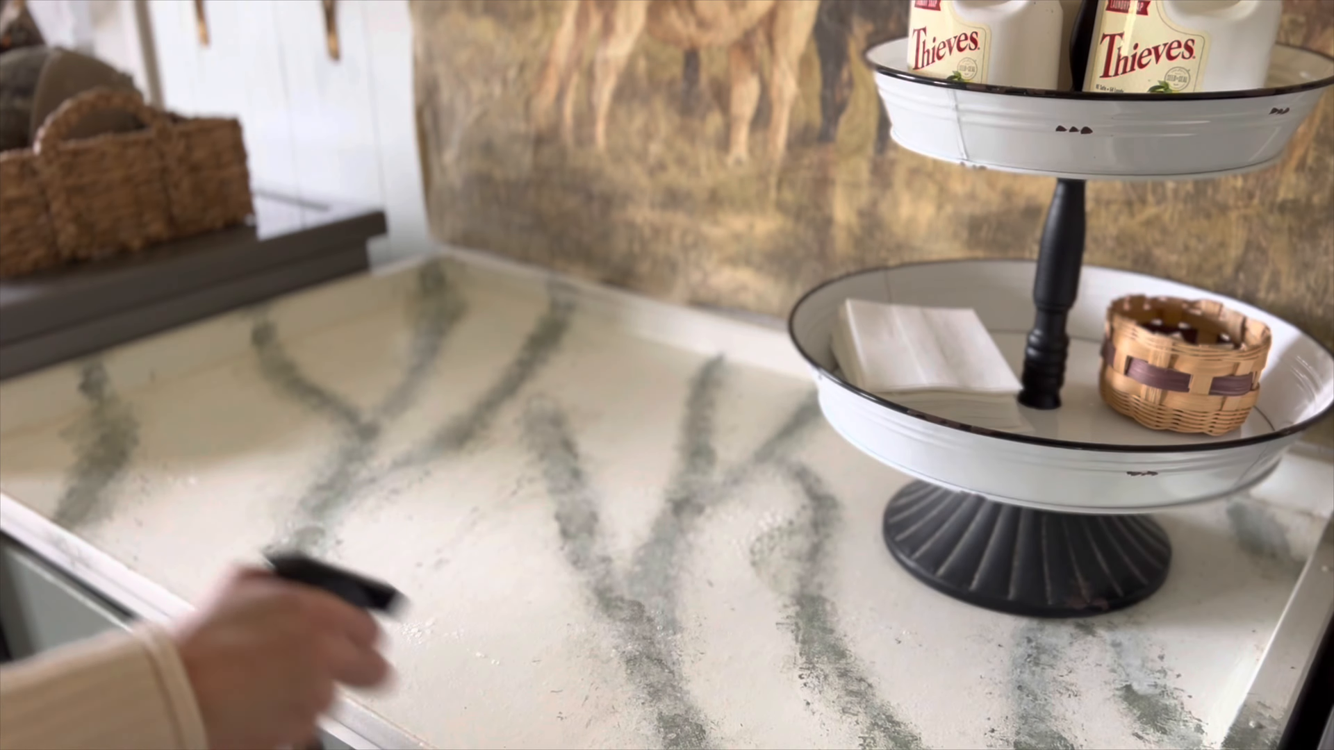north beach queens studio apartment cleaning green hands cleaning services