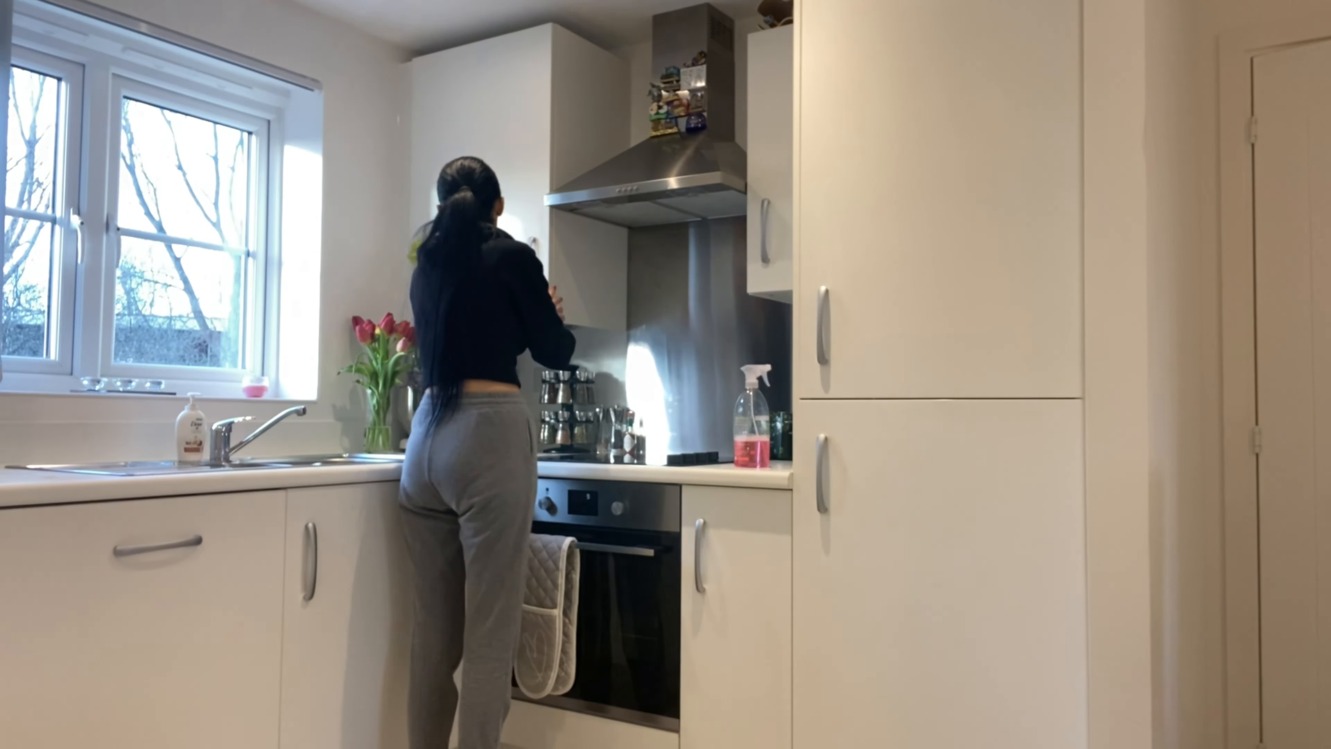 park slope brooklyn pet friendly cleaning green hands cleaning services
