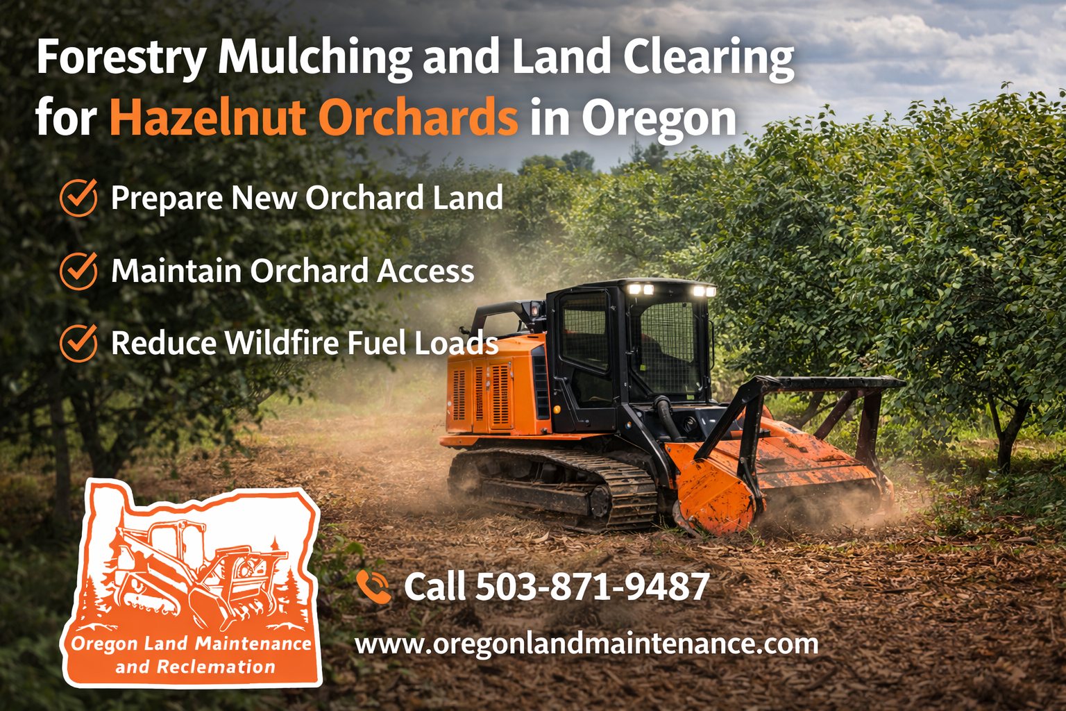Hazelnut orchard land clearing and forestry mulching services in Oregon preparing farmland for new o