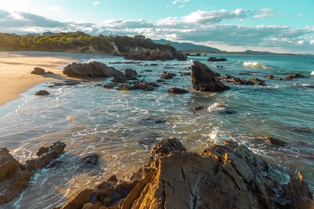 Turf South Coast NSW | Southern Turf