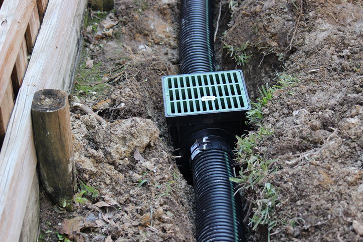 Gutter and Sparrow — Tumwater, WA — All Ways Gutters Gutter and Sparrow — Tumwater, WA — All Ways Gutters
