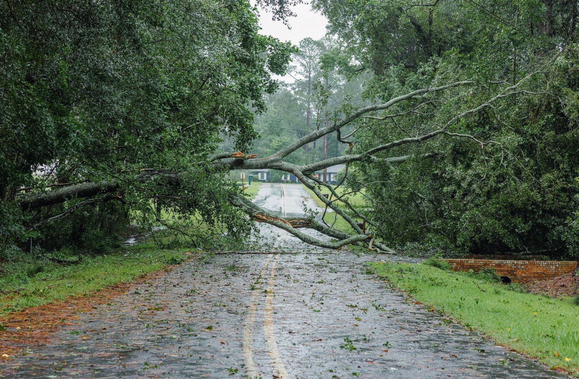 Emergency tree services in Lancaster, SC by Sinclair's Tree Removal and Stump Grinding