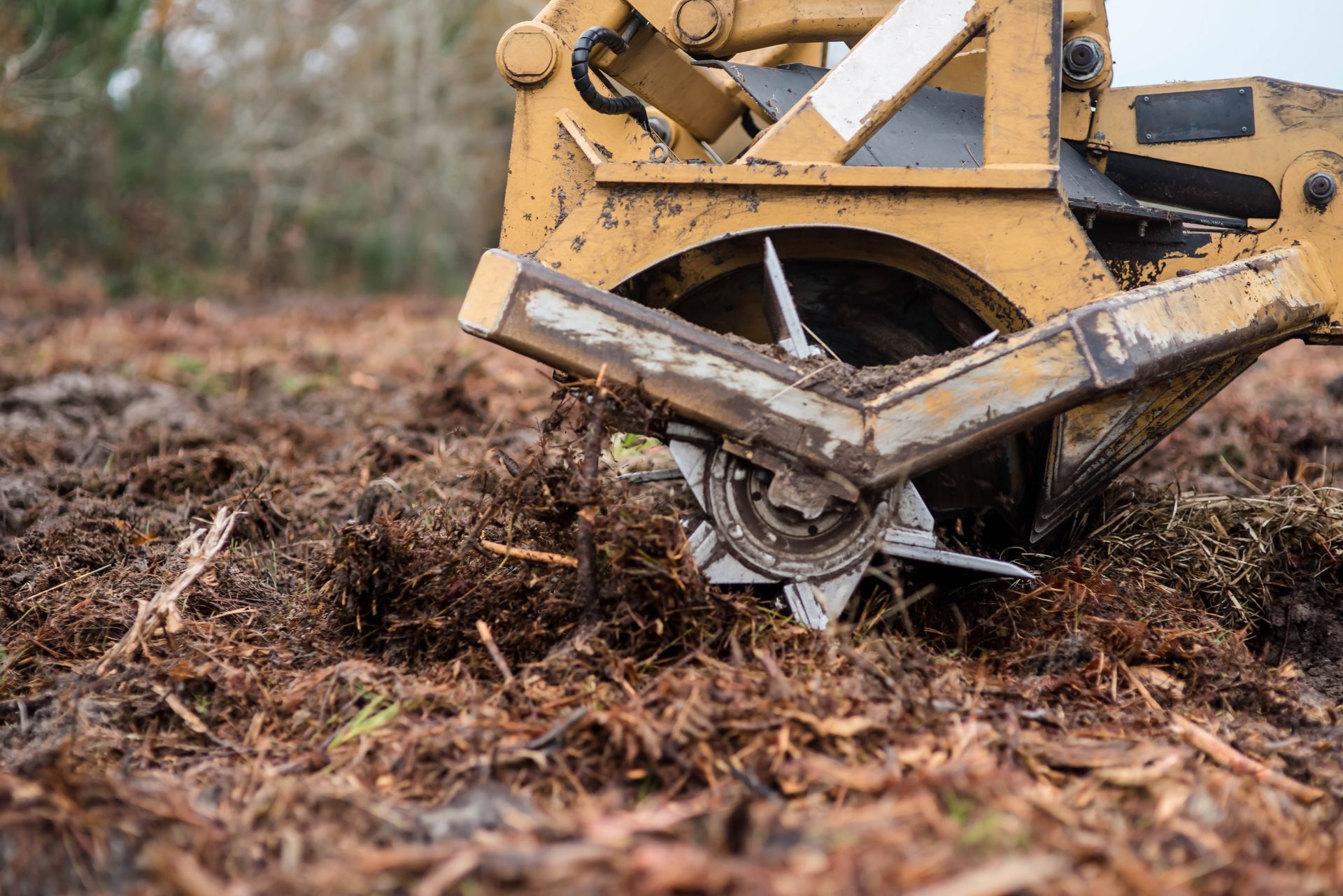 Emergency tree removal in Lancaster, SC by Sinclair's Tree Removal and Stump Grinding