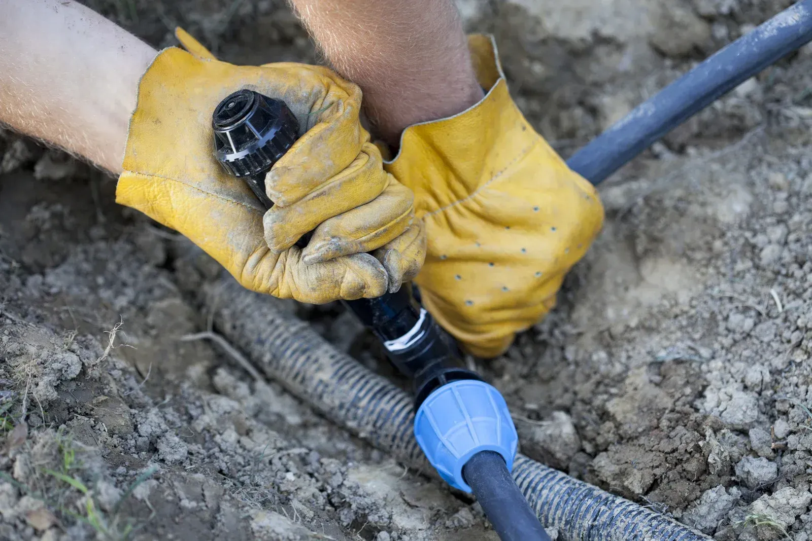 Person adjusting a sprinkler in a garden bed with green gloves, near green grass and brown mulch.