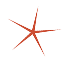 A red starfish on a white background.