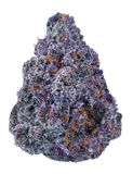 Purple cannabis bud on a white background