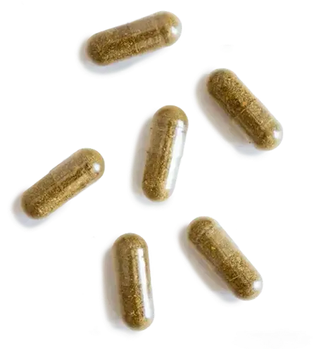 Six green-brown capsules scattered on a white surface.