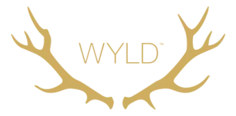 Gold antlers framing the word “WYLD” on a white background