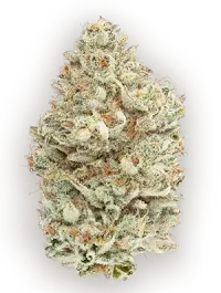 Close-up of a frosty cannabis bud with green leaves and orange hairs on a white background