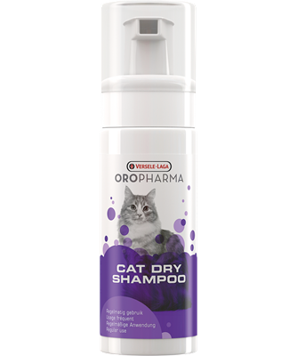 Cat Dry Shampoo
