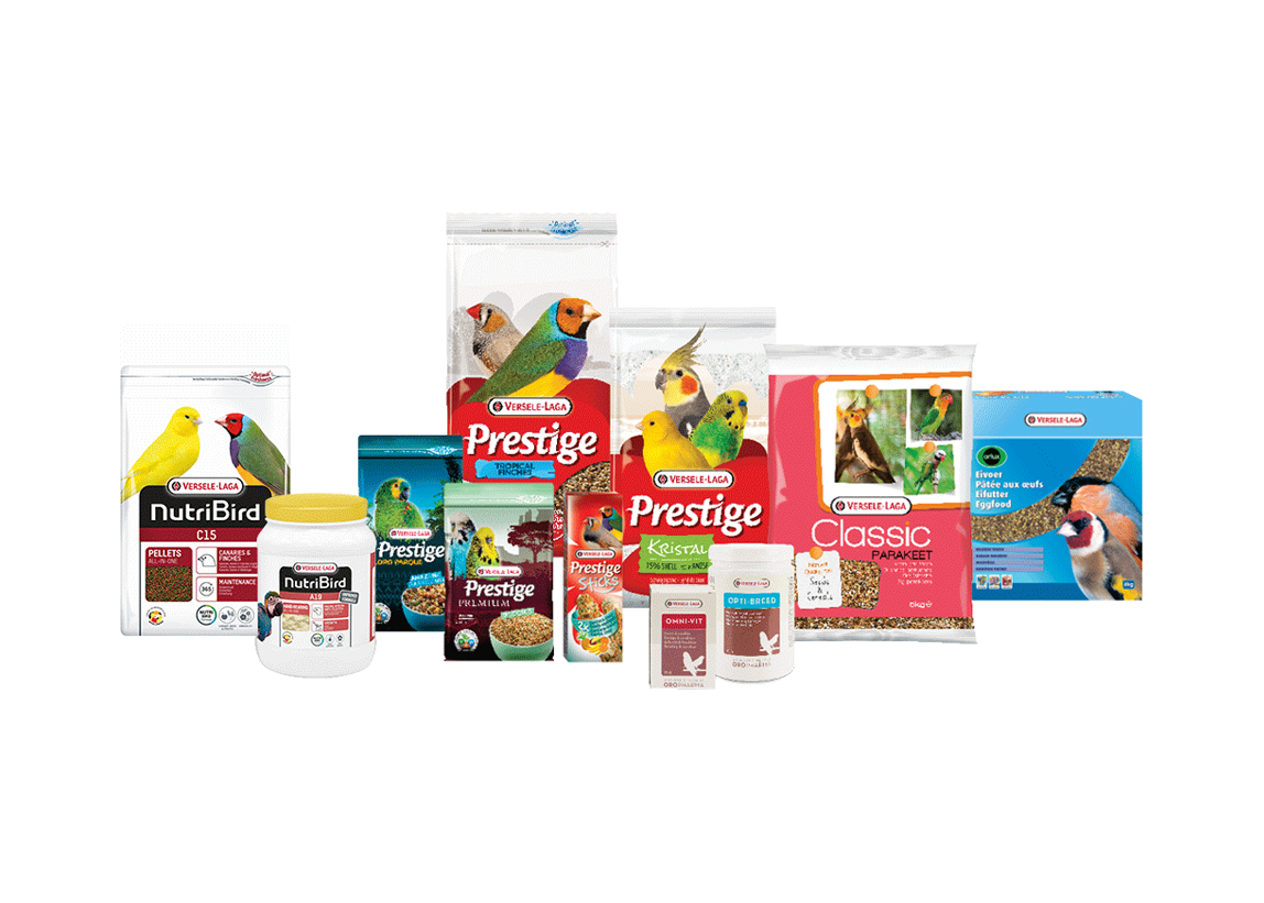 Selectie vogels van Versele-laga