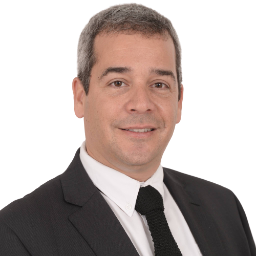 איתן ליפסקר, עורך דין