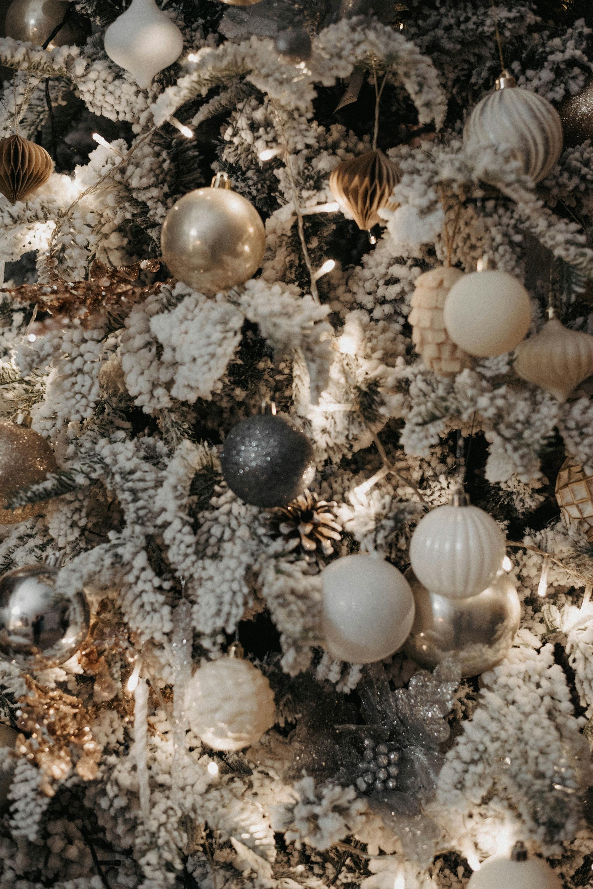 xmas guide to peptides #xmas gift guide to peptides
#peptides #guide to peptides