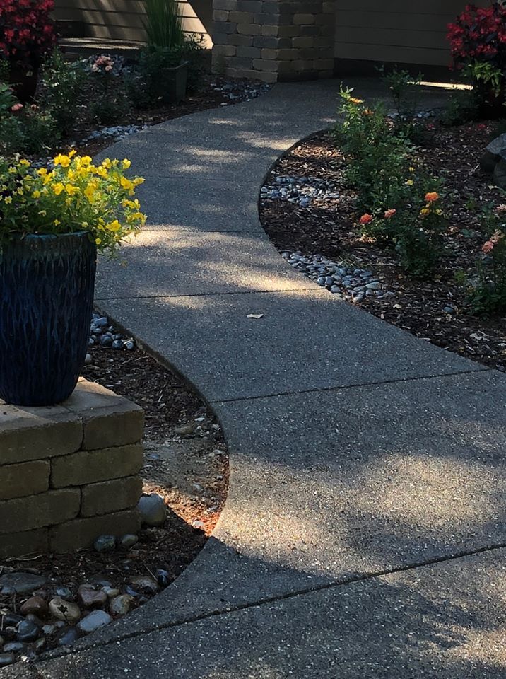 Curved concrete garden path bordered by flower beds and a black planter in dappled sunlight