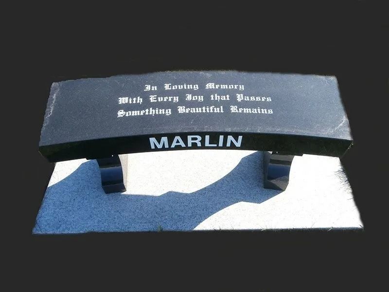 Blue MARLIN book display stand with white text on top, shown on a plain background