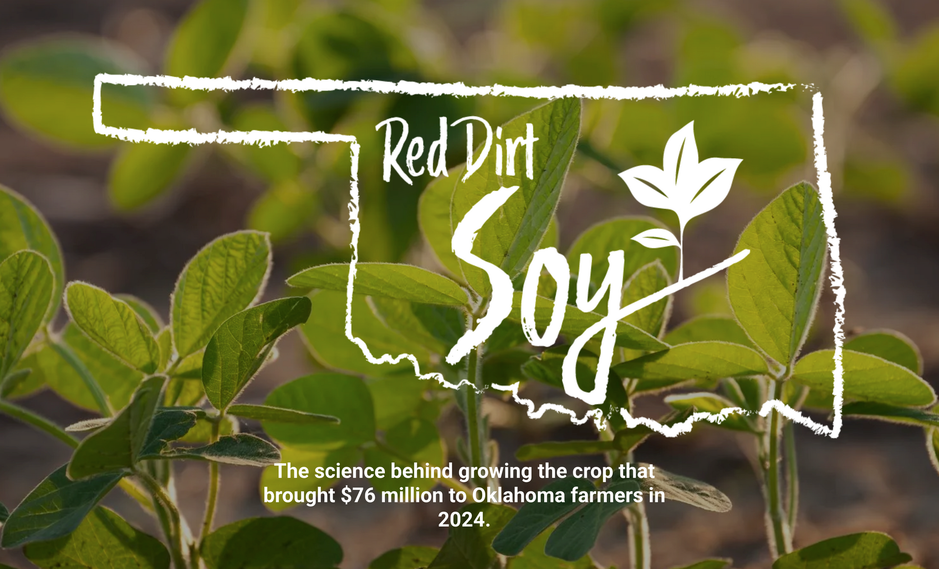 Red Dirt Soy