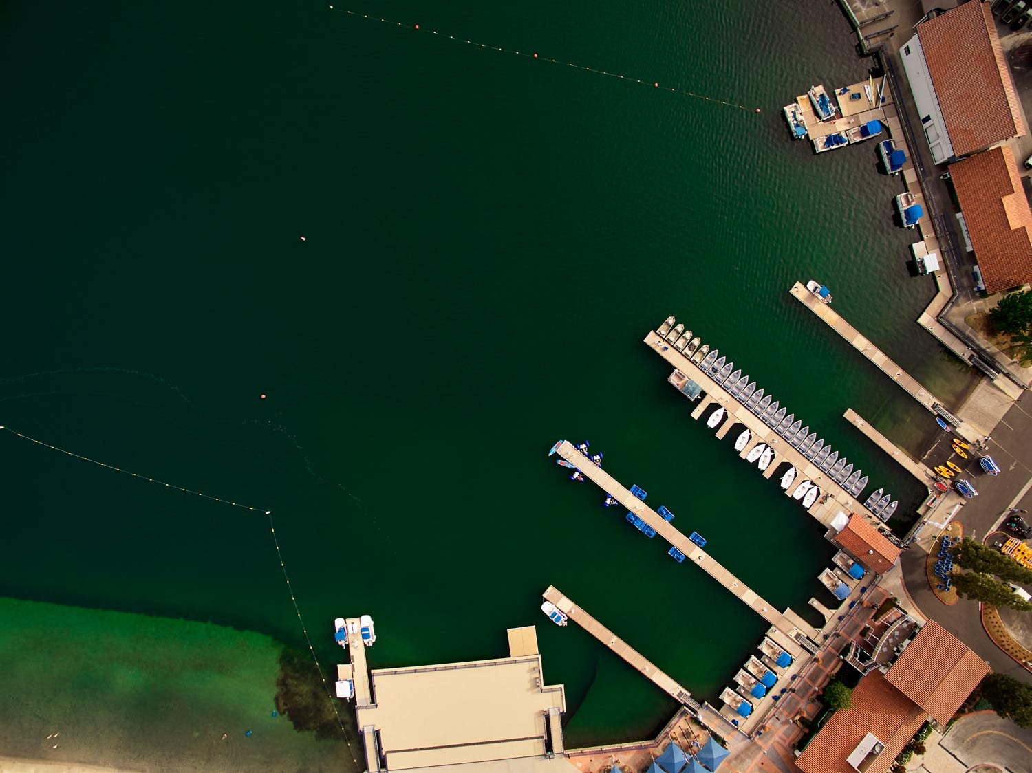 Aerial view of a marina with docks, boats, and green water beside buildings.