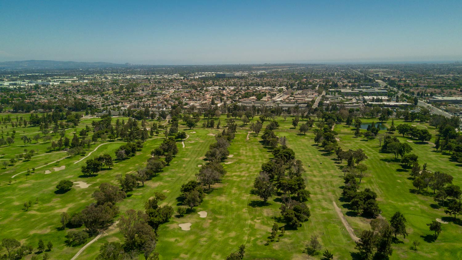 Aerial view of a green park with rows of trees and a city skyline in the distance.