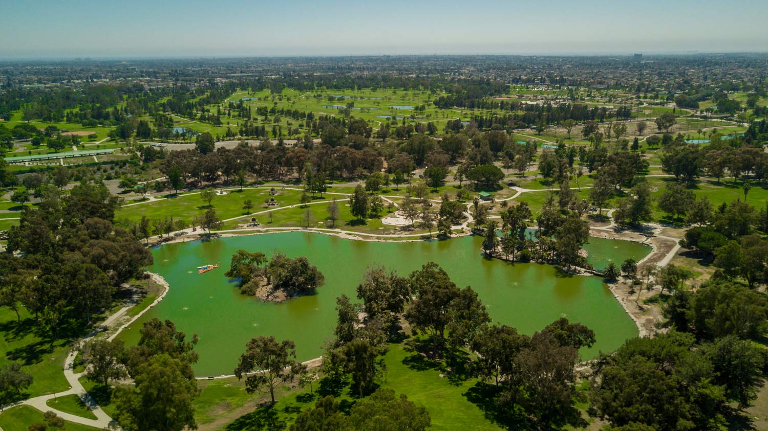 Aerial view of a green park with a lake, scattered trees, and surrounding cityscape