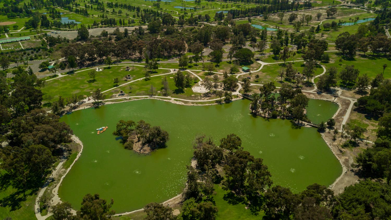 Aerial view of a green lake in a park, surrounded by trees and winding walking paths
