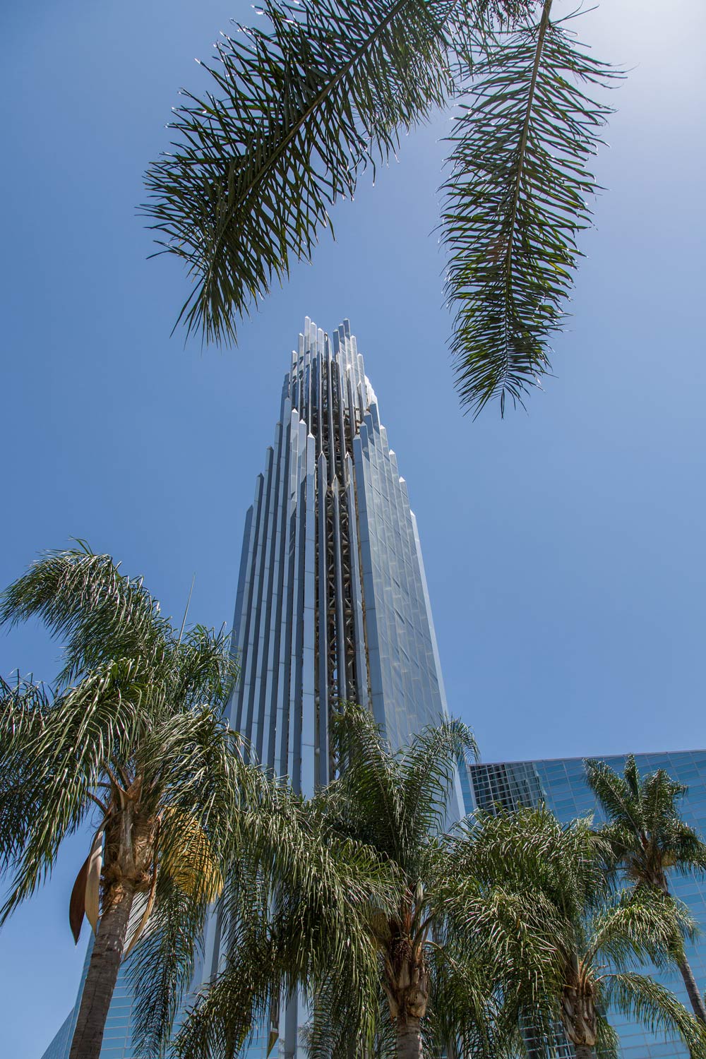 Tall silver skyscraper framed by palm trees against a clear blue sky