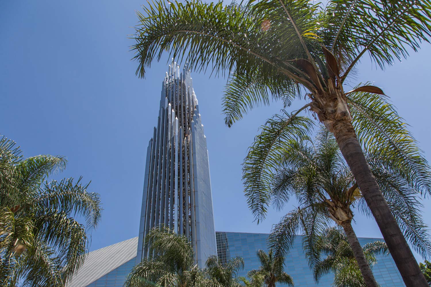 Tall glass skyscraper framed by palm trees against a clear blue sky