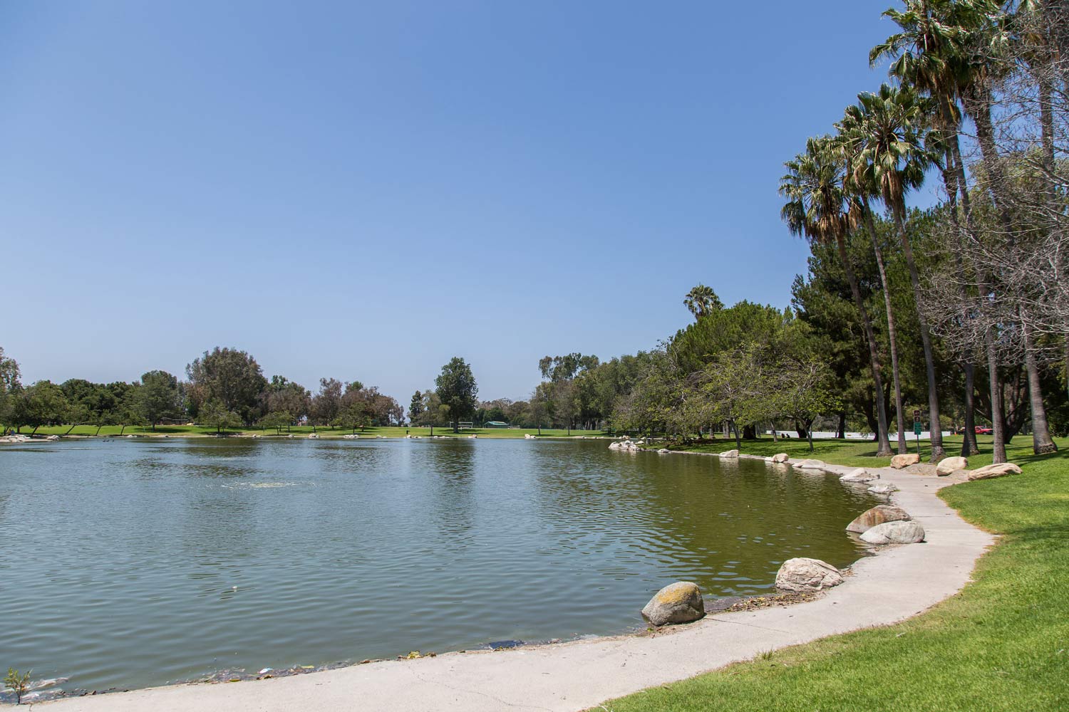 Calm lake with a curved sandy path, green trees, and clear blue sky on a sunny day