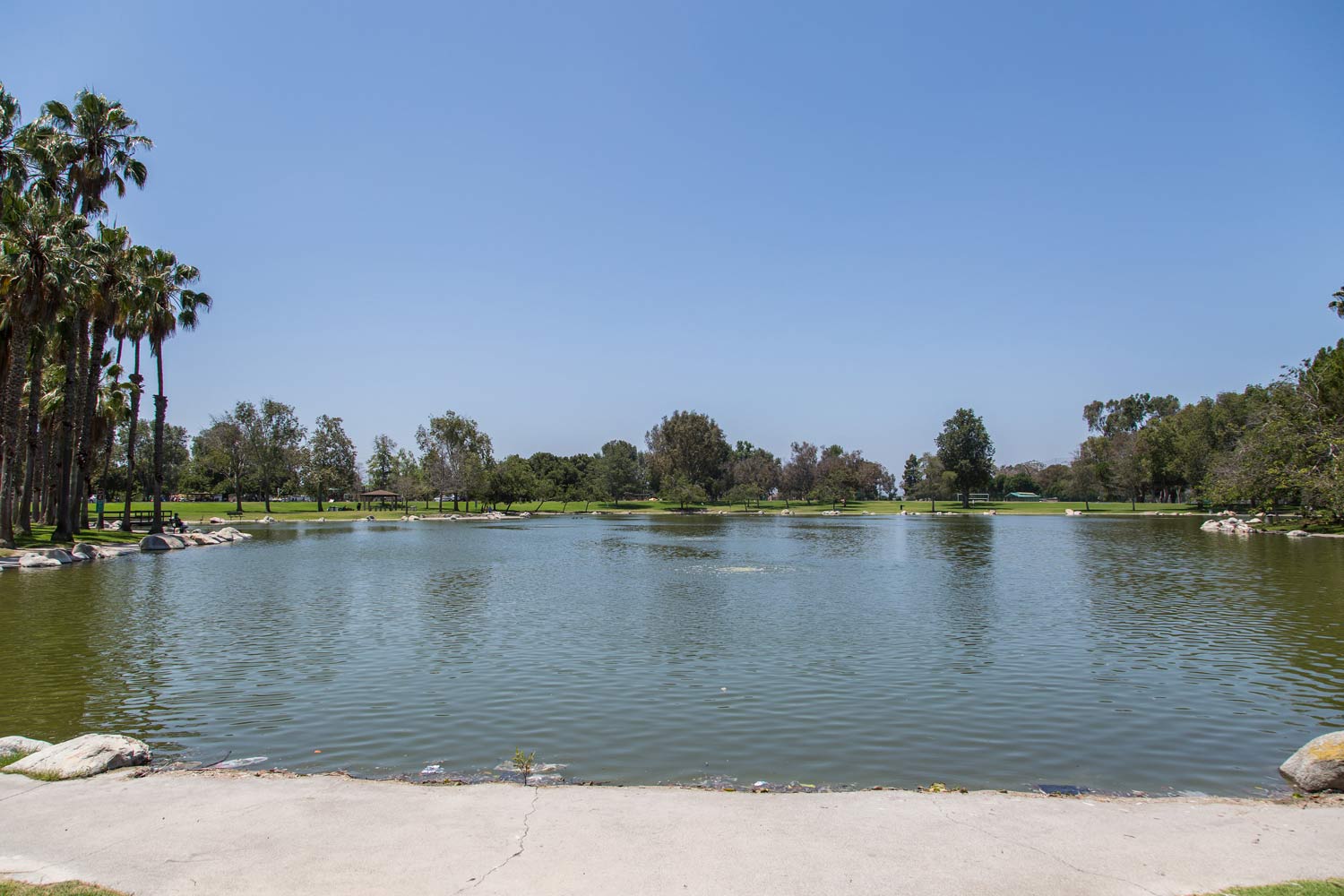 A calm lake in a park with trees along the shore and a clear blue sky.