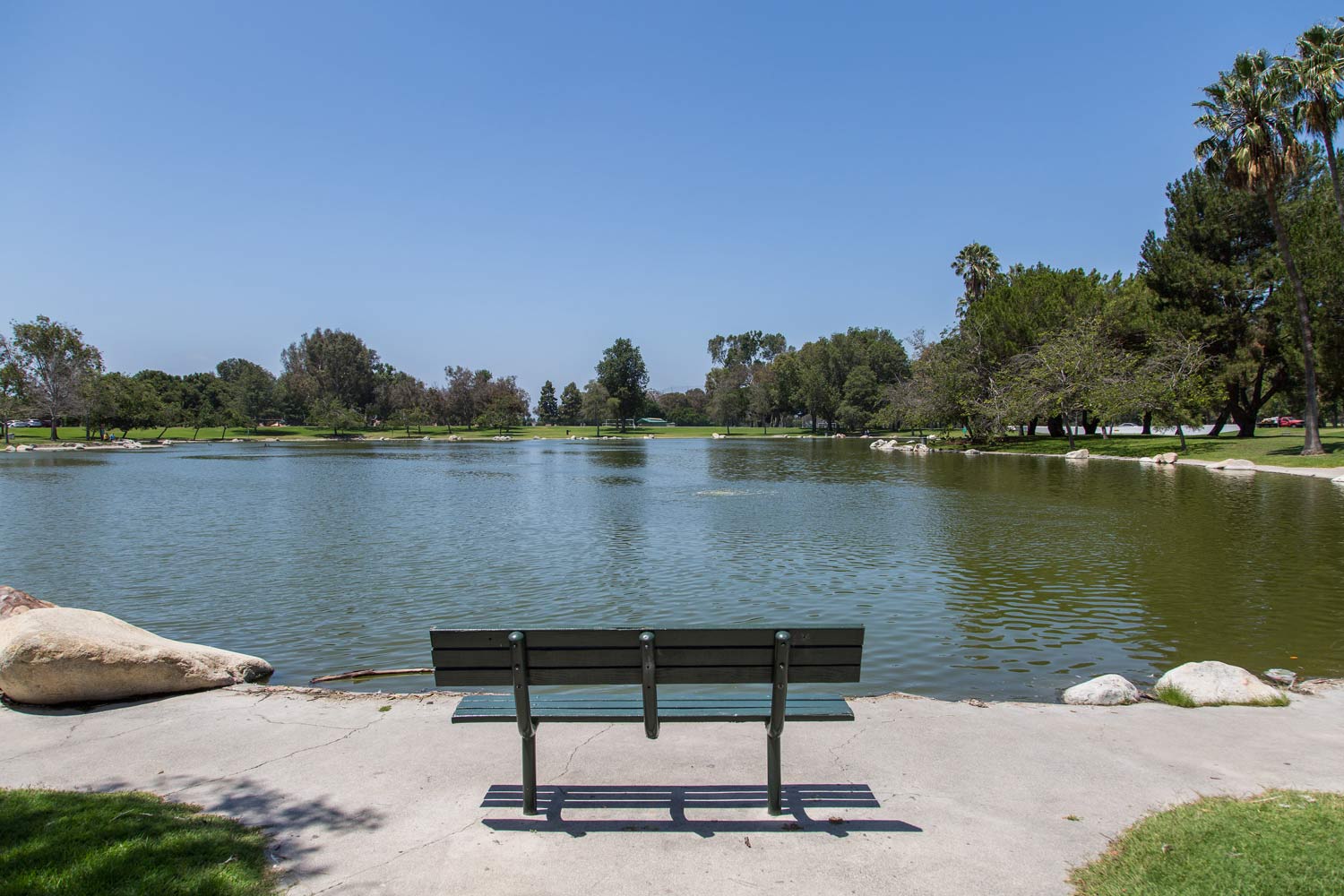 Park bench facing a calm lake under a clear blue sky, with trees lining the shore.