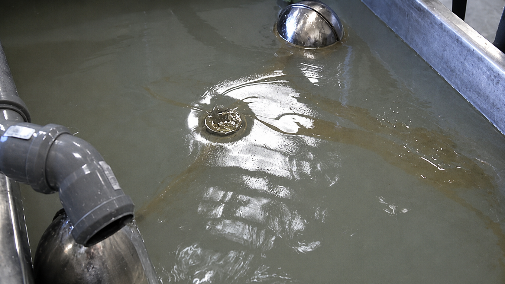 Dirty water pooling in a concrete basin with metal pipes and circular drains.