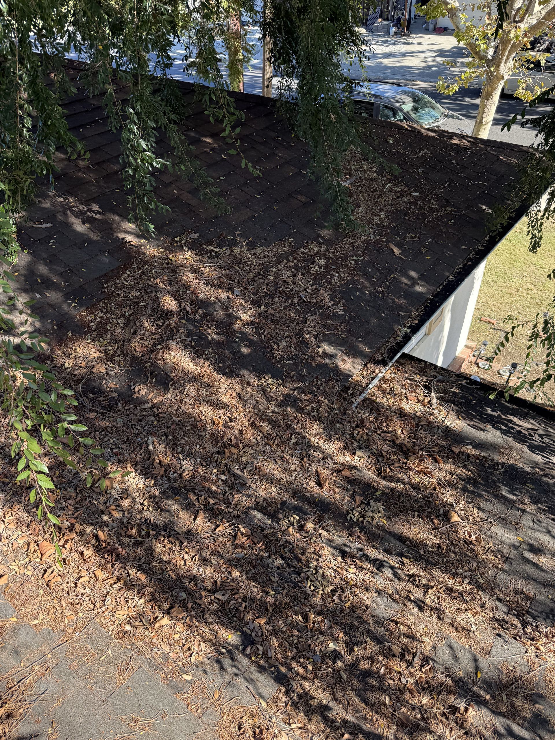 Roof Cleaning